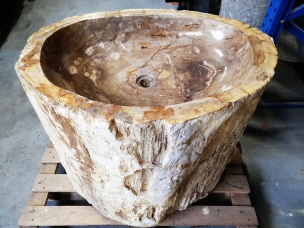 ekskluzywna, duża umywalka ze skamieniałego drewna
